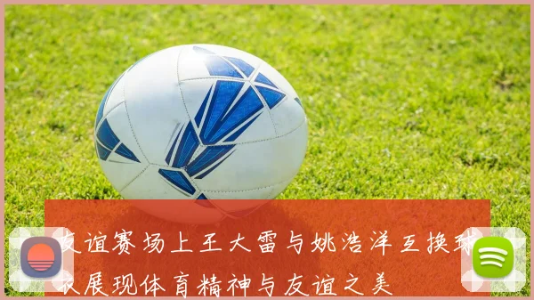 友谊赛场上王大雷与姚浩洋互换球衣展现体育精神与友谊之美