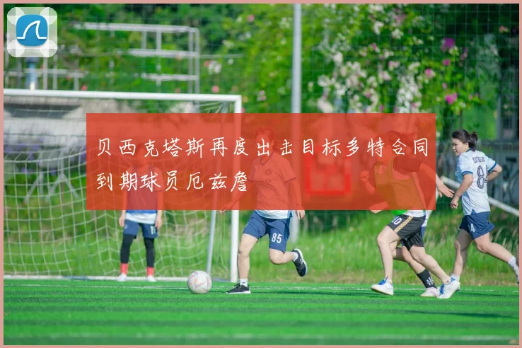 贝西克塔斯再度出击目标多特合同到期球员厄兹詹