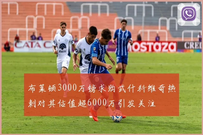 布莱顿3000万镑求购武什科维奇热刺对其估值超6000万引发关注