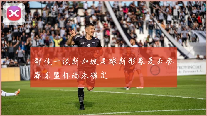 邵佳一谈新加坡足球新形象是否参赛东盟杯尚未确定